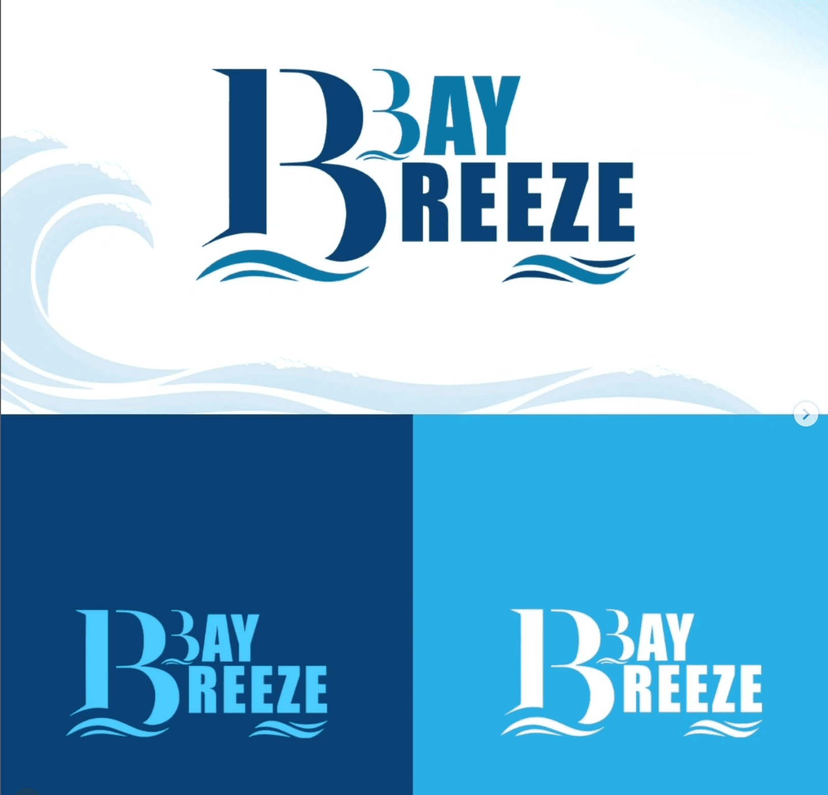 “I will design professional branding materials for your business.”