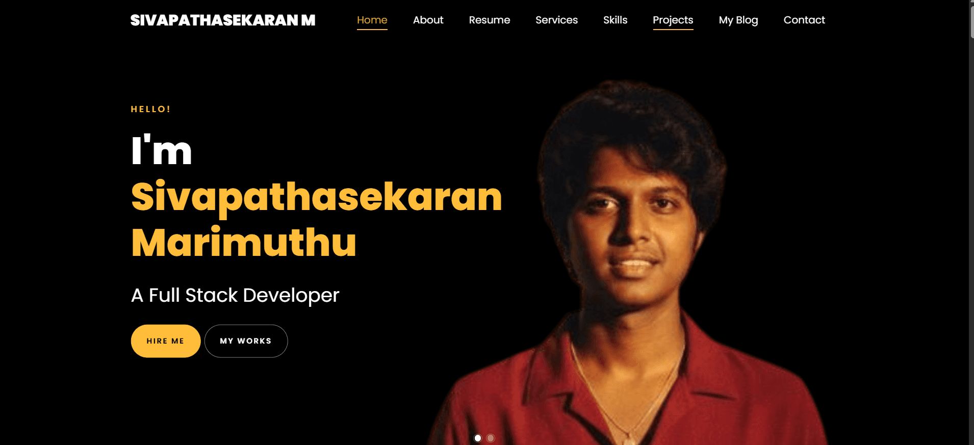 I will develop professional and premium website for portfolio and business websites